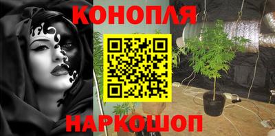 PSILOCYBIN Будённовск