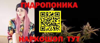 PSILOCYBIN Будённовск